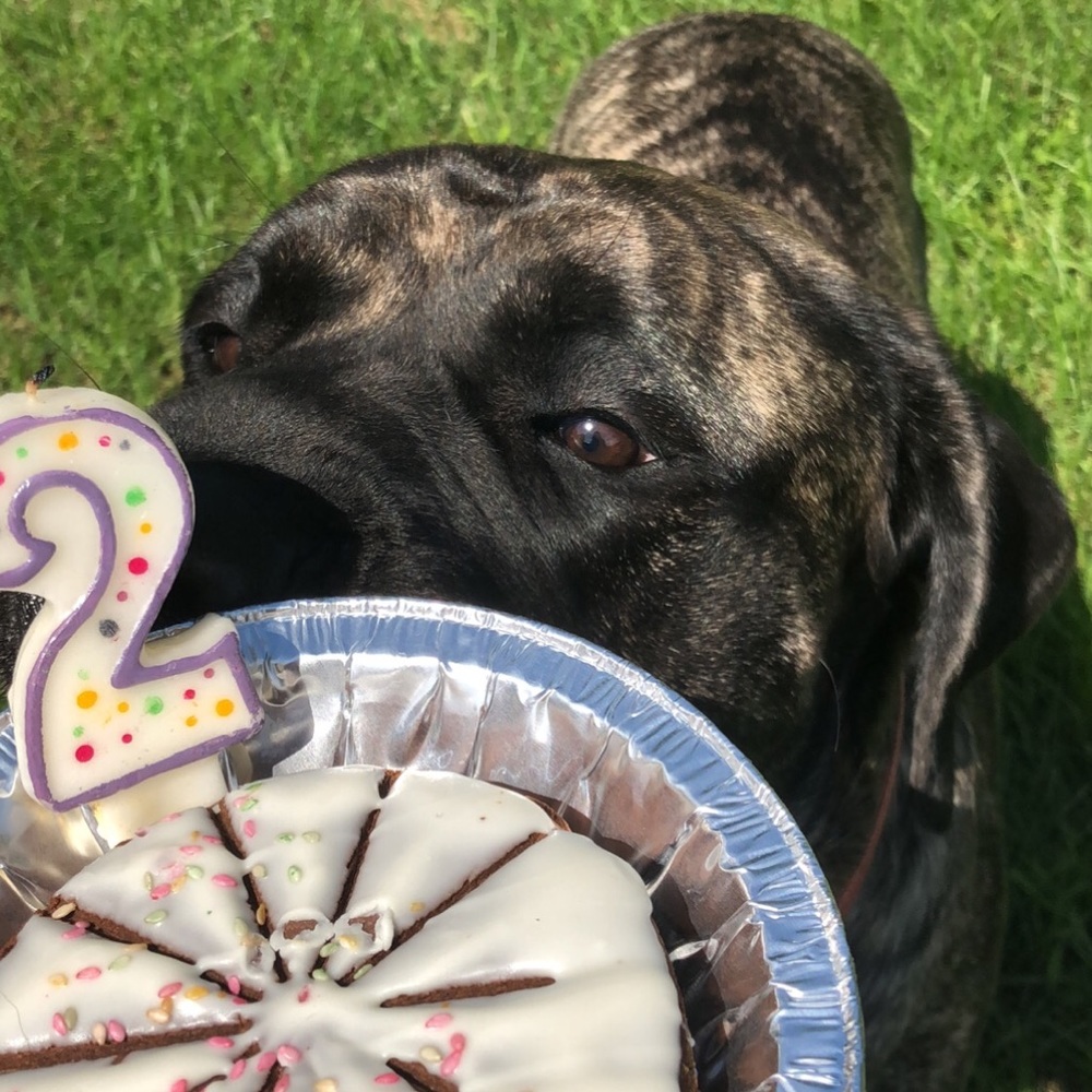 Meet your Posher, Megan